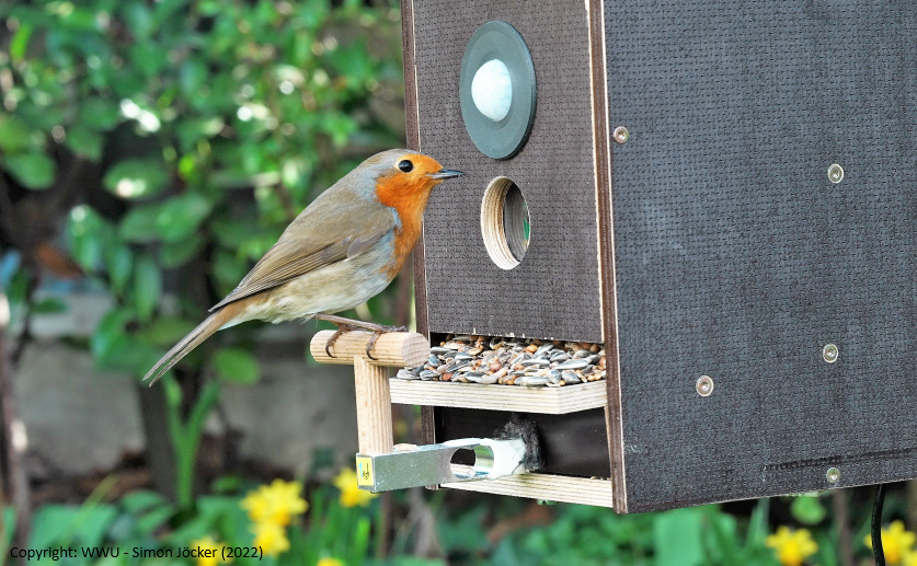 2022_birdiary.png